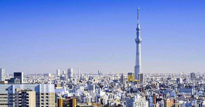 1 Day Charter Tour for Tokyo Sightseeing - Traveler Reviews