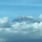 Day Charter Tour to Mt Fuji View - What to Expect