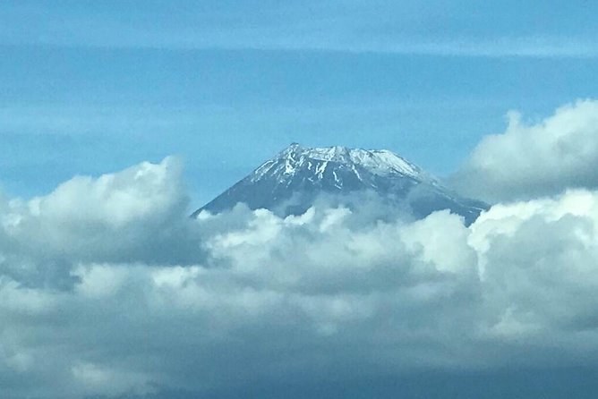 1 Day Charter Tour to Mt Fuji View