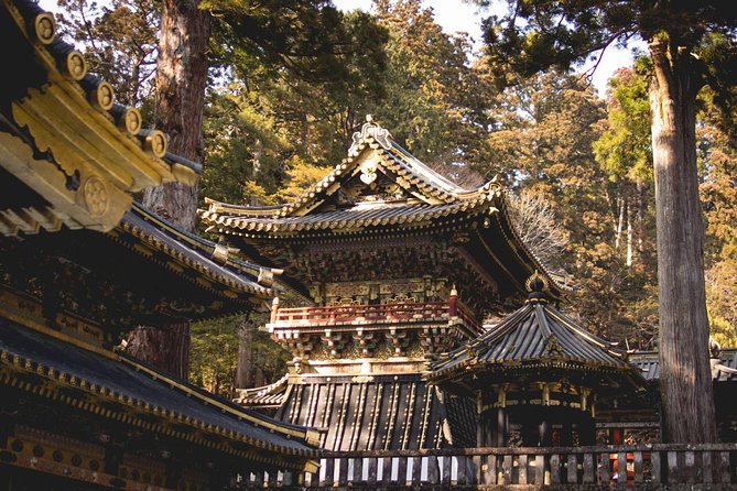 1 Day Private Nikko World Heritage Tour (Charter) - English Speaking Driver - Pickup and Duration