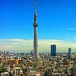 Day Tokyo Sightseeing Tour Private Wagon - Tour Overview