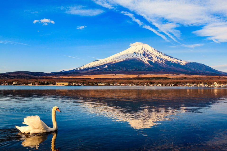 -Day Trip: Mt Fuji + Kawaguchi Lake Area - Trip Details