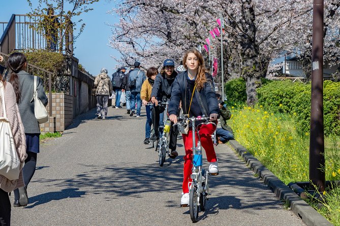 2.5 Hour-Guided Cycle Tour in the Central Tokyo - Overview