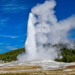 -Day Guided Trip to Yellowstone National Park - Trip Details