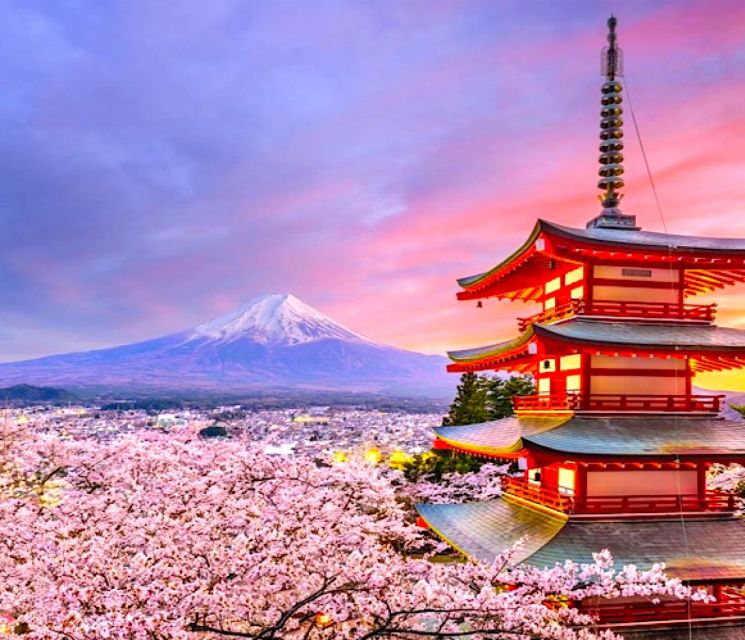 2-Day Private Tokyo MT Fuji and Hakone Tour With Guide - Tokyo Sightseeing Highlights