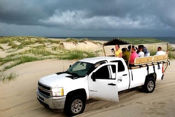 2-hour Outer Banks Wild Horse Tour by 4WD Truck - Tour Highlights
