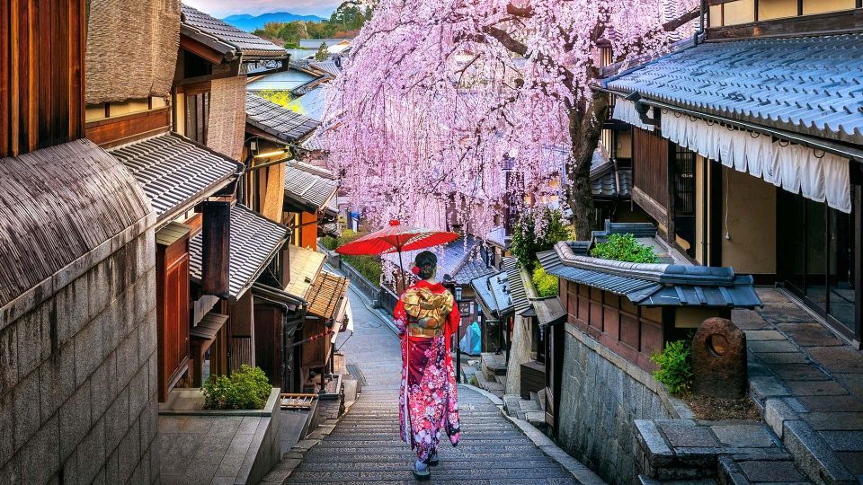 3 Days Private Osaka Kyoto and Nara Tour With English Driver - Tour Details