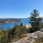 Hour Private Tour: Acadia, Fjord, Gardens & Mansions - Tour Highlights