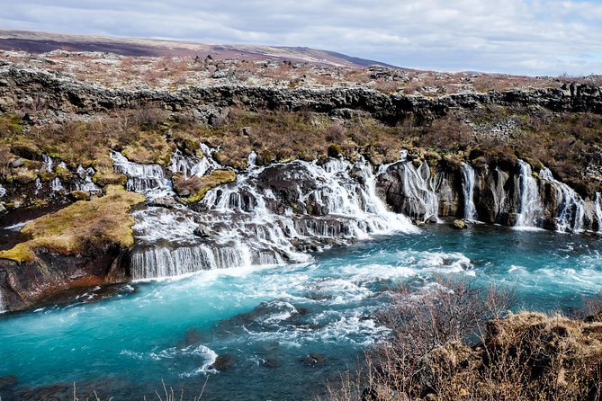 8-Day Small Group Tour Around Iceland in Minibus From Reykjavik - What To Expect