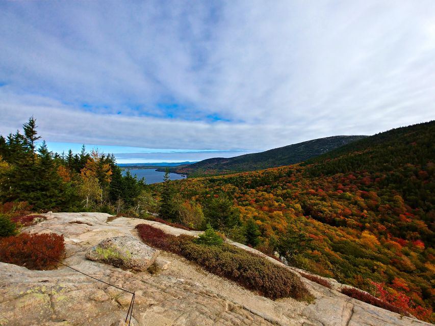 Acadia National Park Small Group Guided Tour - Tour Details