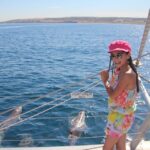 Adelaide: .-Hour Guaranteed Wild Dolphin Watching Cruise - Experience the Thrill of Dolphin Watching