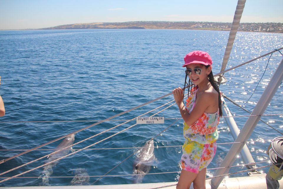 Adelaide: 3.5-Hour Guaranteed Wild Dolphin Watching Cruise - Experience the Thrill of Dolphin Watching