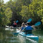 Adelaide: Dolphin Sanctuary Eco Kayaking Tour - Tour Details