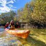 Adelaide: Dolphin Sanctuary Mangroves Kayak Tour - Tour Details