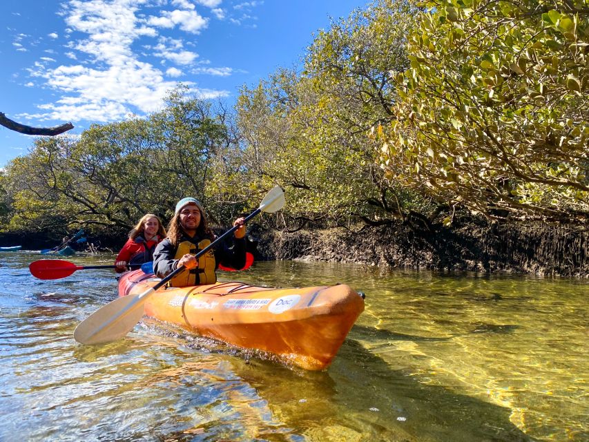 Adelaide: Dolphin Sanctuary Mangroves Kayak Tour