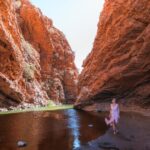 Alice Springs: Town Highlights and West MacDonnell Ranges - Tour Highlights in Alice Springs