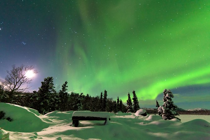 Arctic Circle and Northern Lights Tour From Fairbanks - Tour Overview