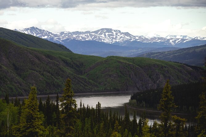 Arctic Circle Day Trip From Fairbanks With Transportation - Tour Details