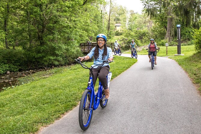 Asheville Historic Downtown Guided Electric Bike Tour With Scenic Views - Tour Overview