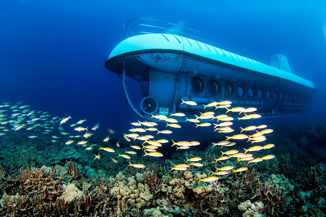 Atlantis Submarine From Kona Beach - Underwater Experience