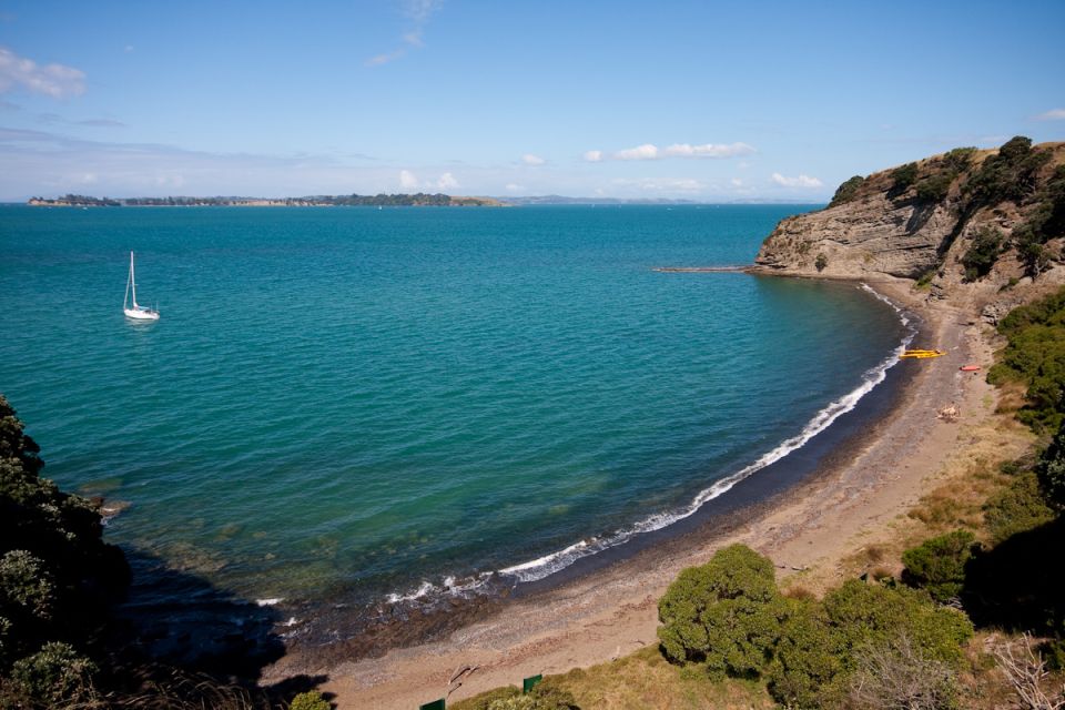Auckland: Half-Day Sea Kayak Tour to Motukorea Island - Tour Overview