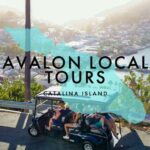 Avalon: Private Golf Cart Tour With Driver-Guide - Overview of the Tour