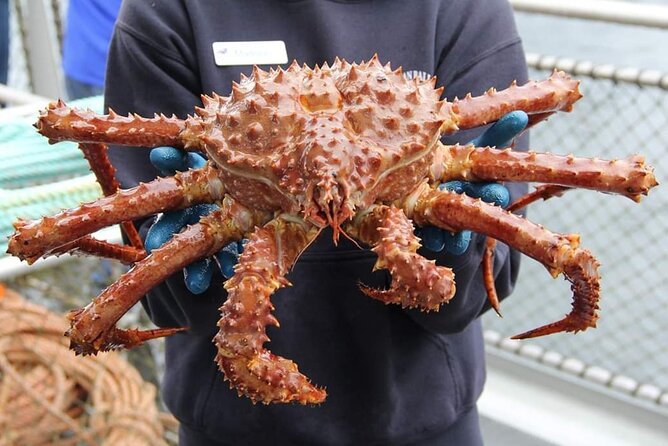 Bering Sea Crab Fishermans Tour From Ketchikan - Activity Highlights