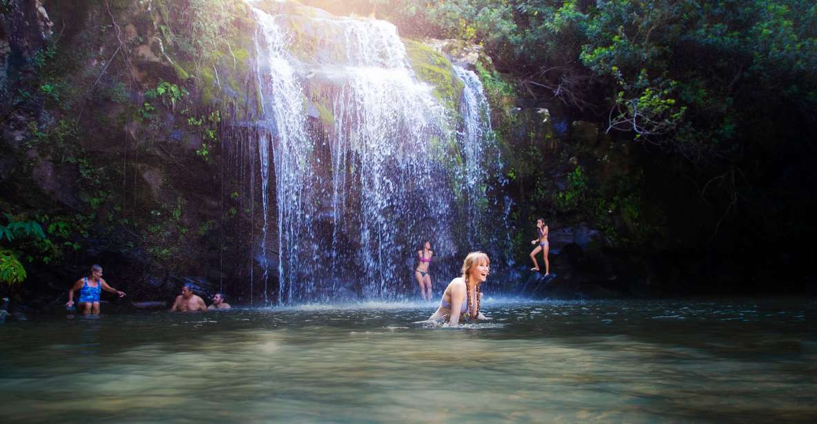 Big Island: Full Day Adventure Tour of the Kohala Waterfalls - Tour Details