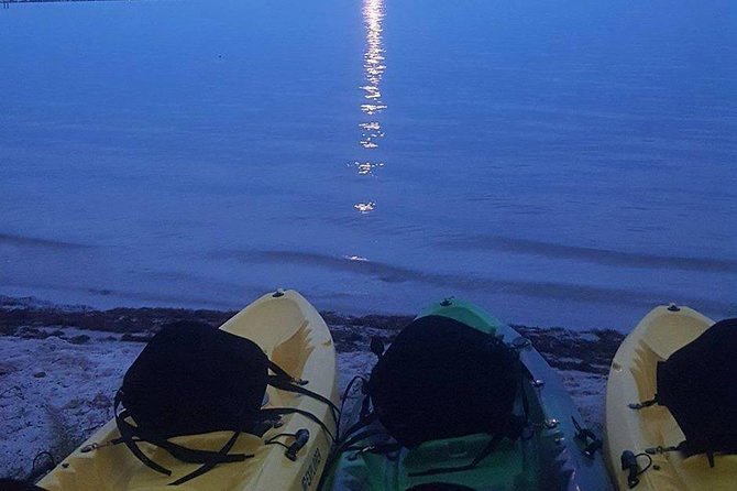 Bioluminescence Night Kayaking Tour of Merritt Island Wildlife Refuge