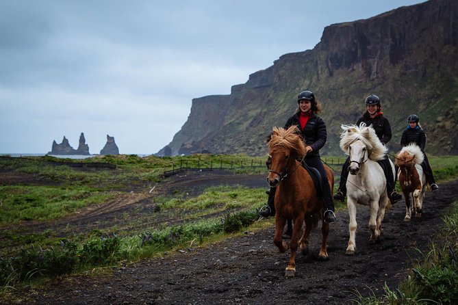 Black Sand Beach Horse Riding Tour From Vik - Overview of the Tour