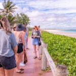 Broome: Panoramic and Discovery - Morning Tour W/ Transfers - Tour Details