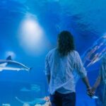 Cairns: Pre-Opening Guided Tour of the Cairns Aquarium - Tour Details