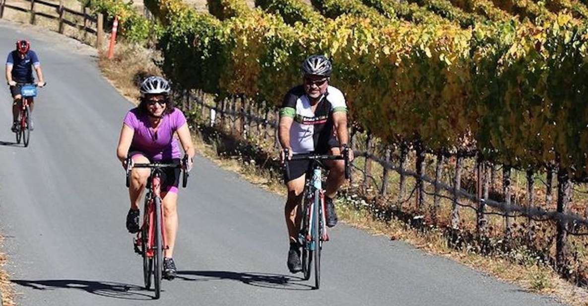 Calistoga: Napa Valley Cycling and Winery Tour With Picnic - Tour Overview