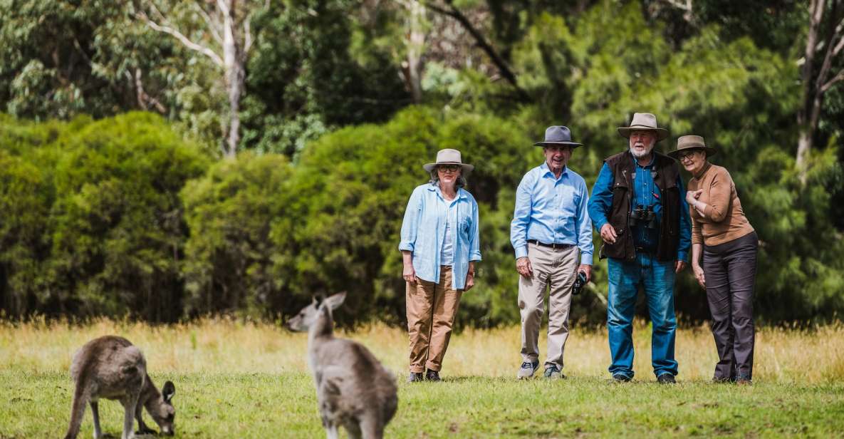 Canberra: Best of Wildlife Tour
