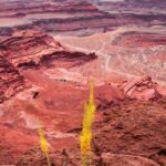 Canyonlands National Park Backcountry x Adventure From Moab - Tour Details