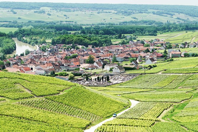 Champagne Day Trip With 6 Tastings, Reims and Winery From Paris