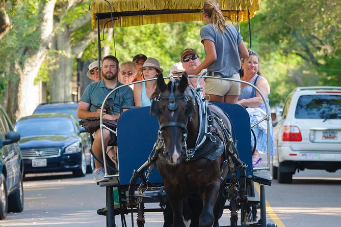 Charleston Horse & Carriage Historic Sightseeing Tour - Tour Details