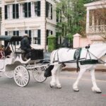 Charleston: Private Carriage Ride - Overview of the Private Carriage Ride