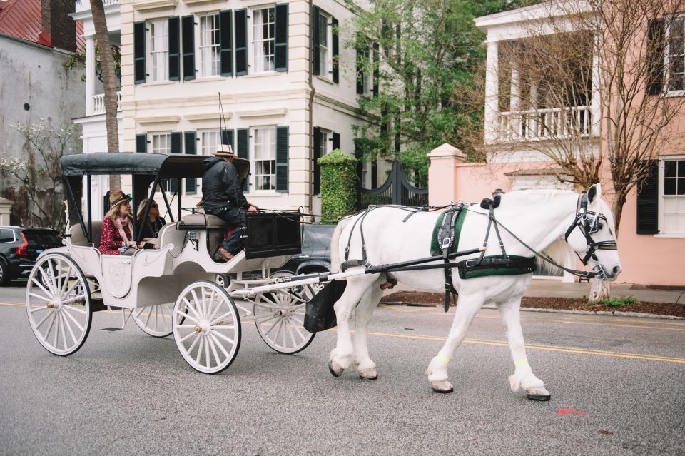 Charleston: Private Carriage Ride - Overview of the Private Carriage Ride