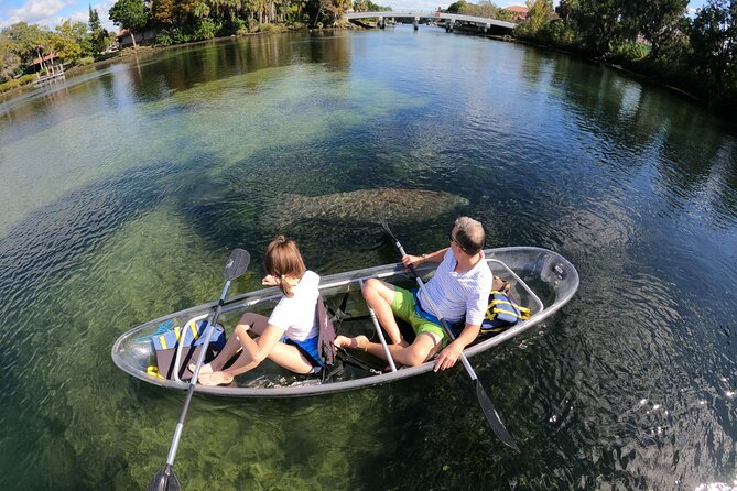 Clear Kayak Manatee Ecotour of Crystal River - Tour Details