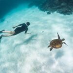 Coral Bay: Ningaloo Reef -Hour Turtle Ecotour - Tour Details