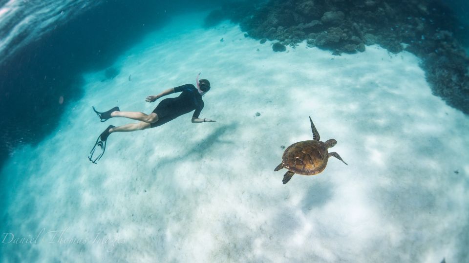 Coral Bay: Ningaloo Reef 3-Hour Turtle Ecotour - Tour Details