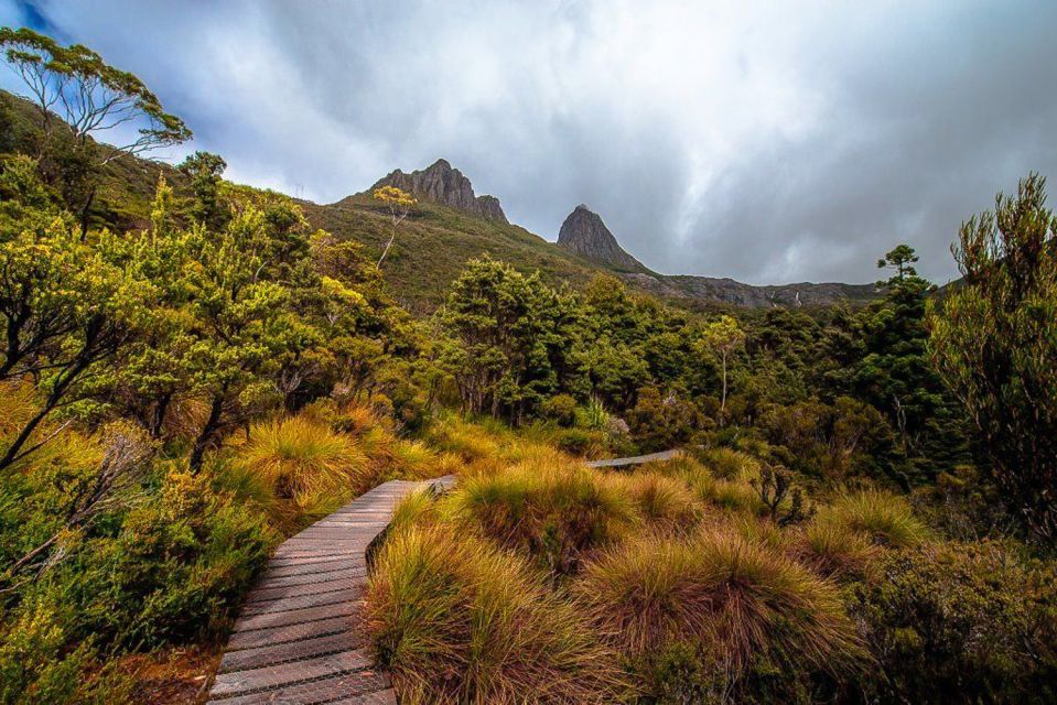 Cradle Mountain: Day Trip From Launceston With Lunch - Activity Description