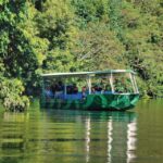 Daintree Rainforest: Crocodile & Wildlife River Cruises - Activity Details