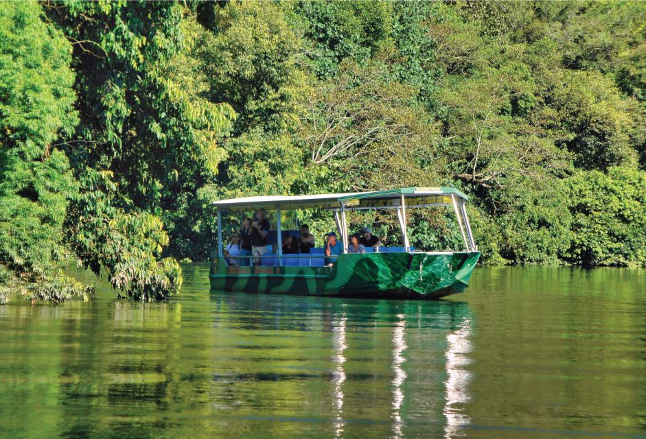 Daintree Rainforest: Crocodile & Wildlife River Cruises - Activity Details