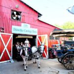 Daytime Horse-Drawn Carriage Sightseeing Tour of Historic Charleston - Tour Details