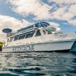 Deluxe Snorkel & Dolphin Watch Aboard a Luxury Catamaran From Kailua-Kona - Snorkel in Konas Underwater Paradise