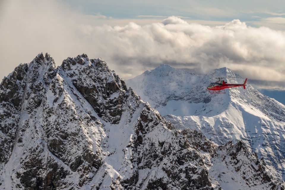 Denali National Park: Helicopter Flight With Glacier Landing - Activity Highlights