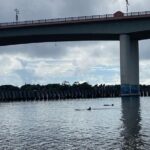 Dolphin and Manatee Stand Up Paddleboard Tour in Daytona Beach - Tour Overview