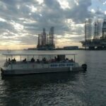Dolphin Sightseeing Tour With Guide - Tour Details